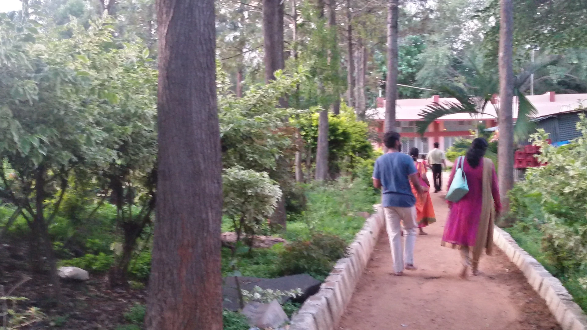 भारत के पार्क में चलते लोग